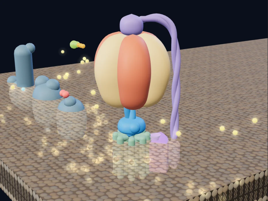 How ATP synthase works