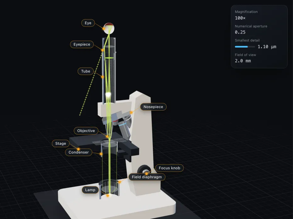 How a microscope works